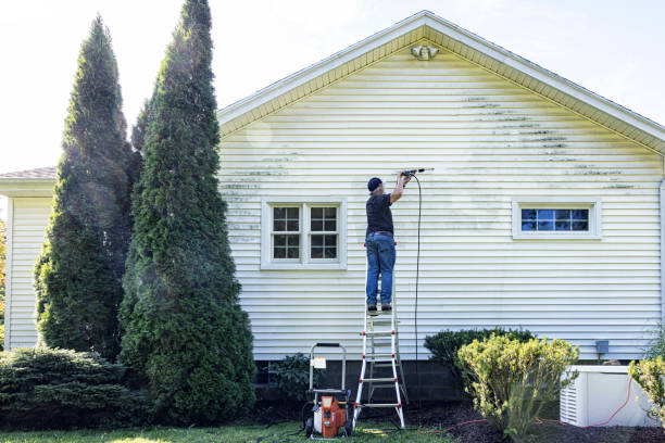 Best Pressure Washing Contractors  in Scobey, MT